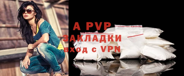 тгк Новодвинск