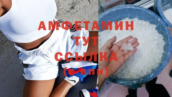 гидра Алексин