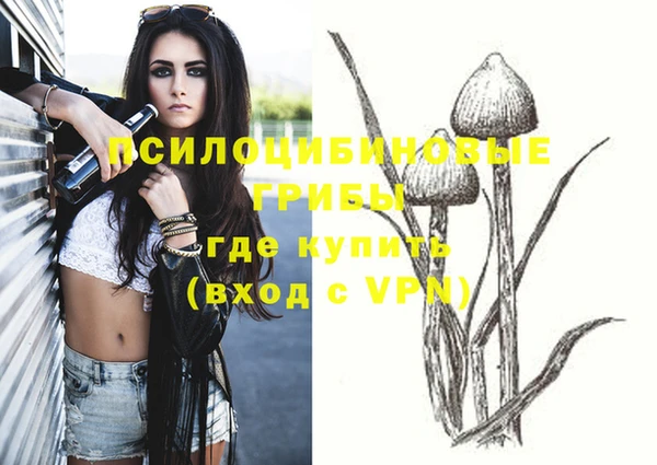 таблы Алзамай