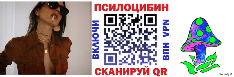 мега онион  Апшеронск  Галлюциногенные грибы Psilocybe  где купить наркоту 